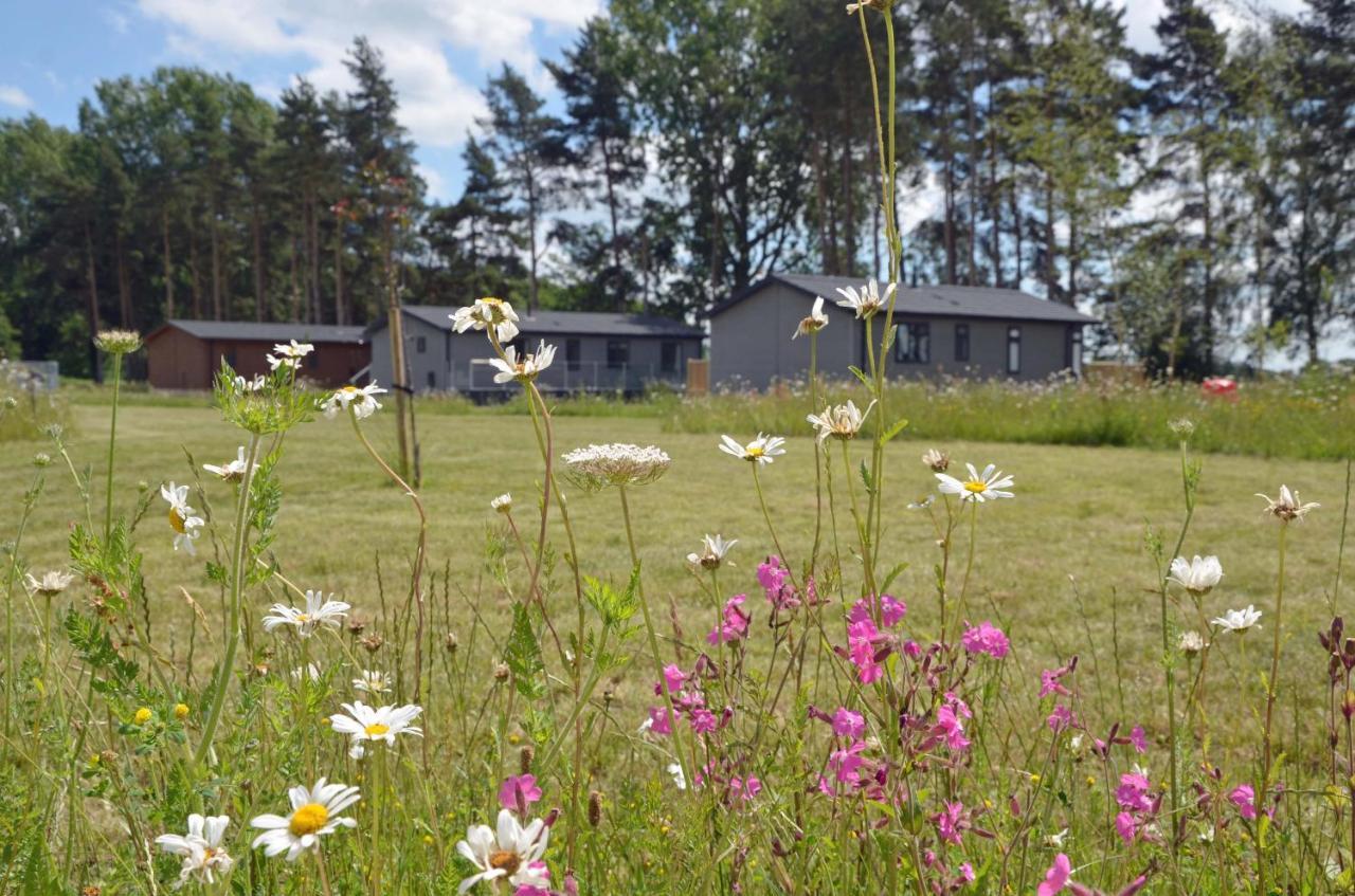Hollicarrs - Sunflower Lodge Йорк Экстерьер фото